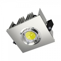 Светодиодный светильник Fiolent Прожектор v3.0-100 эко